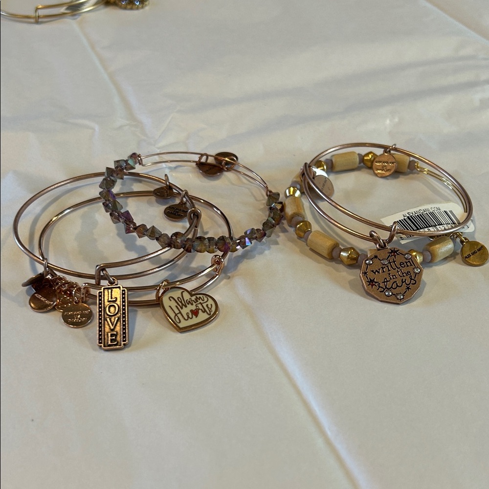 Alex and Ani rose Gold and Brown Charm Bracelet Set